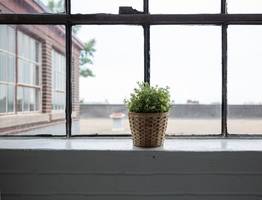 Стало известно, как в Сыктывкаре получить компенсацию за затопленный дом