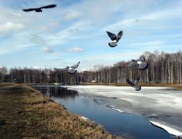 Синоптики спрогнозировали потепление до +16 на юге Коми