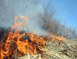 В Коми идет подготовка к пожароопасному сезону