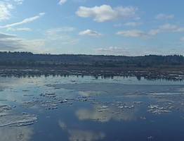 На реке Вашка в Коми уровень воды превысил неблагоприятную отметку