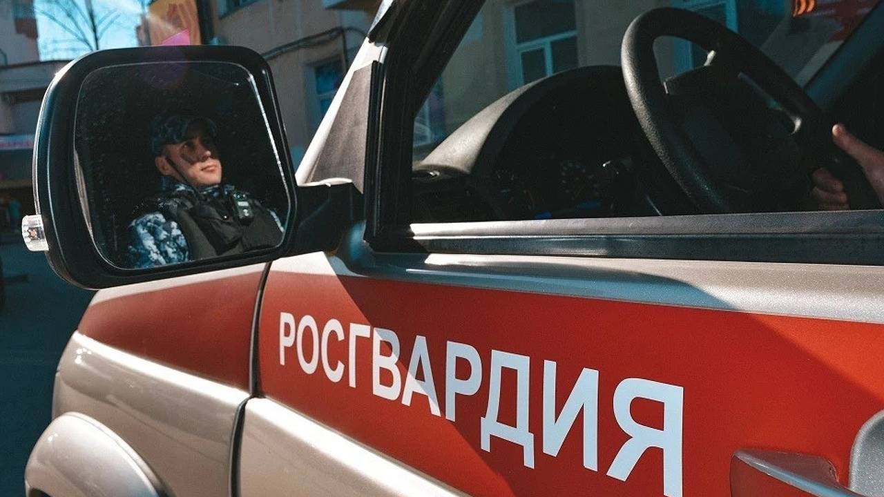 Главная картинка новости: В Коми четверо мужчин и девушка устроили драку и были задержаны