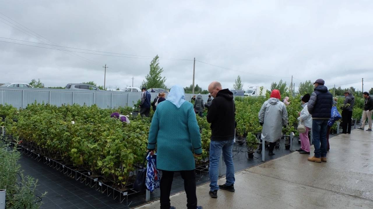 Главная картинка новости: Льготы льготами, но эти 4 налога в 2024 году пенсионеры РФ обязаны заплатить