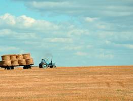 В Коми отложили посевную из-за непогоды