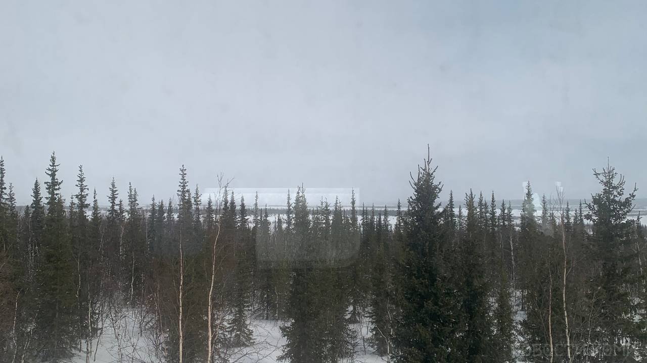 Главная картинка новости: По данным ЦГМС, в Коми ожидается резкое ухудшение погоды 11 мая