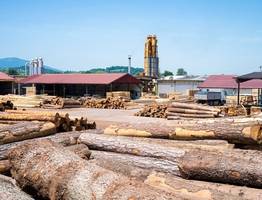 Лесозаготовки Коми: раскрыты основные направления экспорта