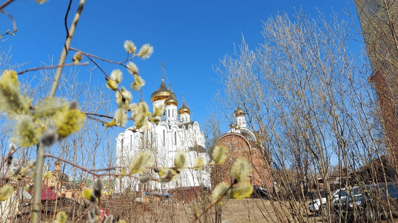Главная картинка новости: В Коми придет волна теплого атлантического воздуха