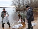 Сыктывкарский ЛПК выпустил в Вычегду более 235 тысяч мальков сига