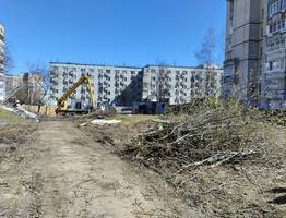 В Сыктывкаре  уничтожили яблоневую аллею