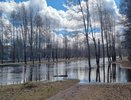 В городе в Коми из-за паводка ввели режим повышенной готовности