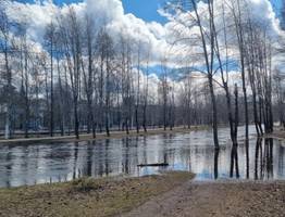В городе в Коми из-за паводка ввели режим повышенной готовности