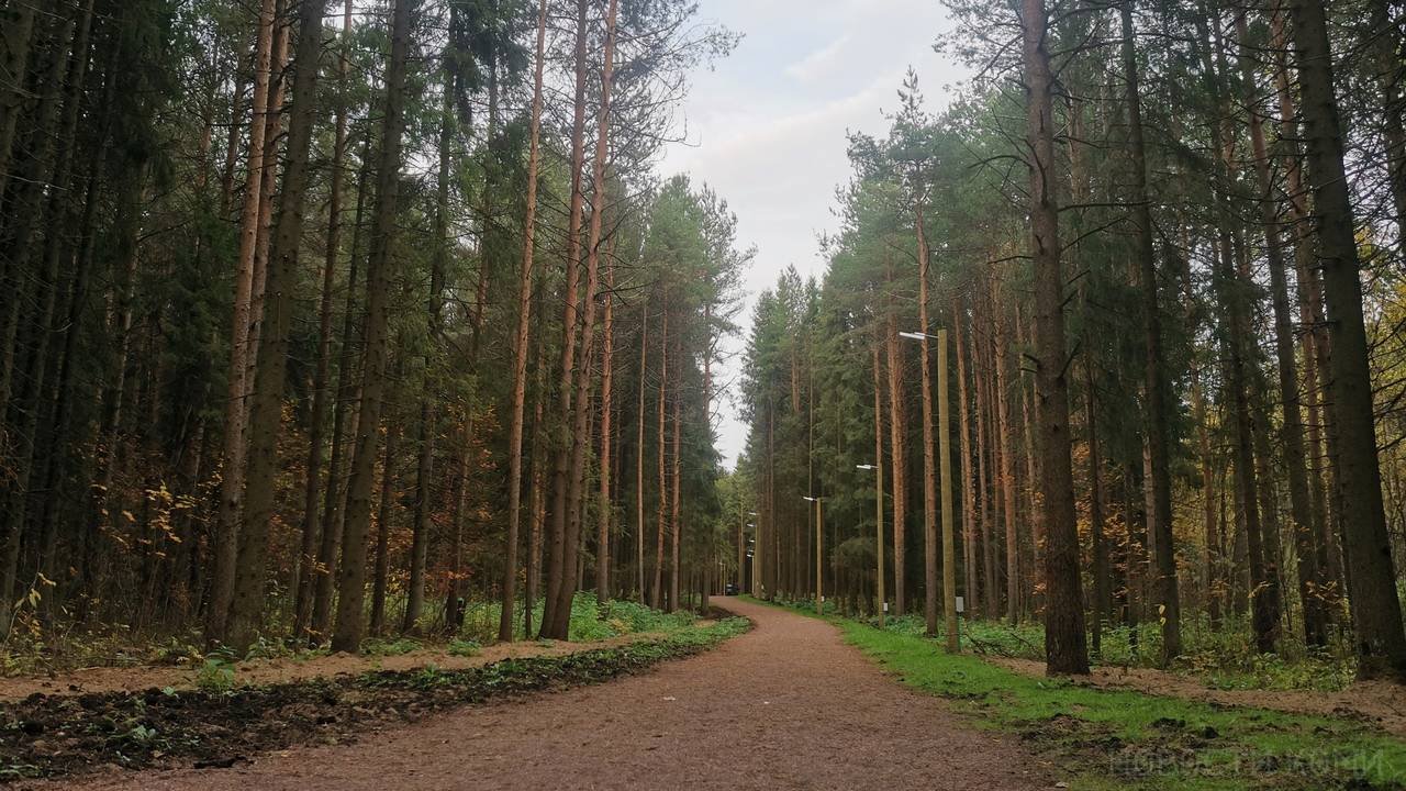 В Коми стартовала противоклещевая обработка общественных территорий