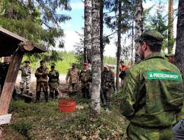 Лесные специалисты в Коми расскажут где найти грибы и ягоды