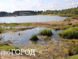 Жители Сыктывкара не хотят, чтобы у них “отобрали” лес и озеро