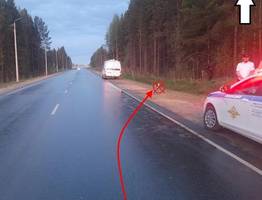 В Коми байкер с 361 нарушением ПДД попал в аварию