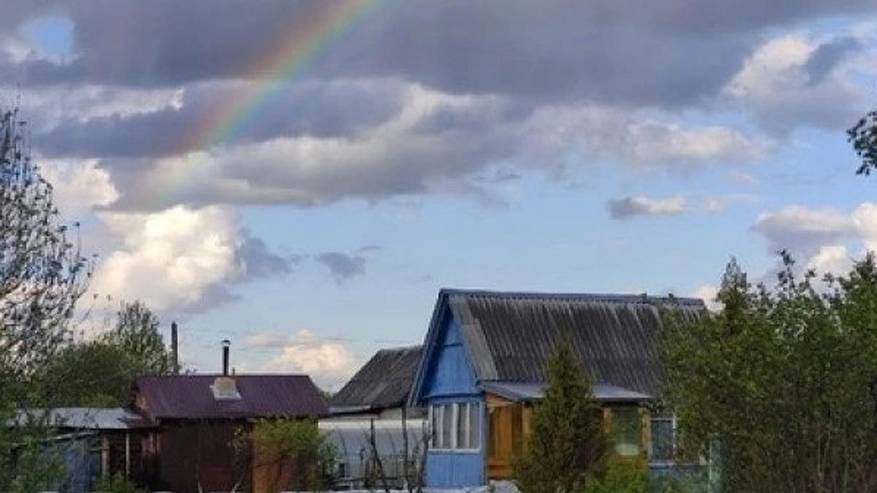 Главная картинка новости: Одно из самых популярных растений у дачников запретили выращивать: с июня принят новый закон