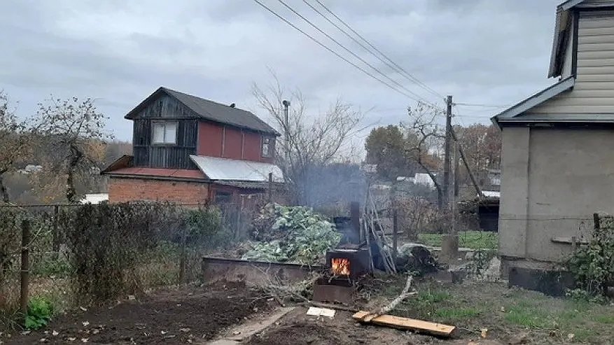 Одно из самых популярных растений у дачников запретили выращивать: новый указ с июня