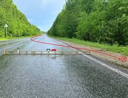 В Коми водитель иномарки закончил обгон в кювете