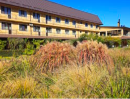 Как минимизировать стресс на работе?