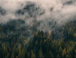 В Коми синоптики пообещали туманы и небольшие дожди