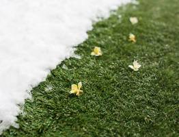 Зима с летом поменялись местами: погода преподнесла россиянам настоящий сюрприз