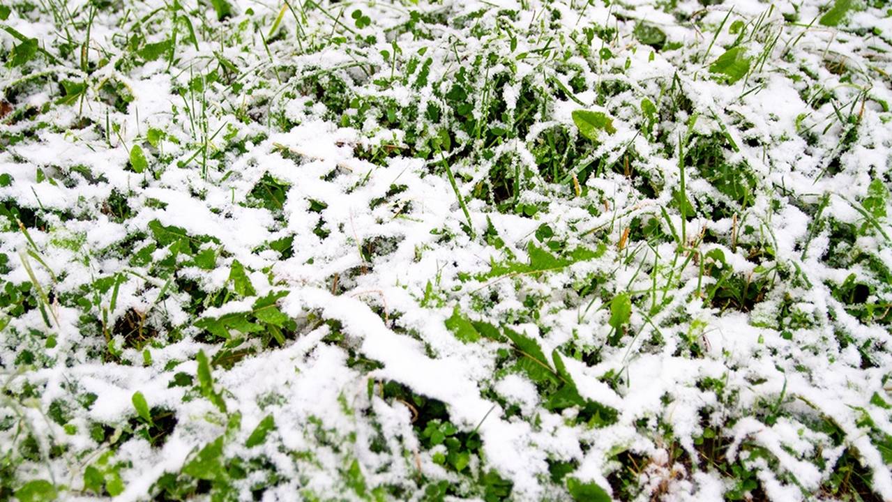 Главная картинка новости: Зима и лето поменялись местами, погода преподнесла неожиданный поворот событий