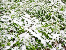 Зима и лето поменялись местами, погода преподнесла неожиданный поворот событий