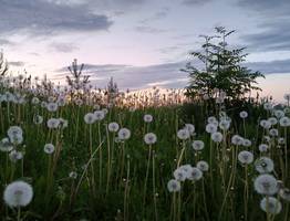 Синоптики рассказали о погоде в Коми на 23 июля