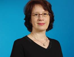 Сыктывкарские родители опасаются электронных дневников