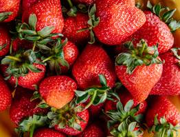 Опытные садоводы давно применяют эту тактику: они закапывают это под каждую куст клубники и получают обильный урожай