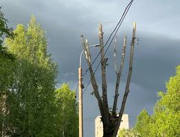 Штормовое предупреждение объявили почти на всей территории Коми