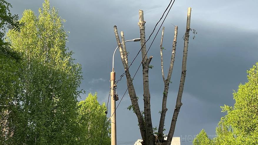 Главная картинка новости: Штормовое предупреждение объявили почти на всей территории Коми