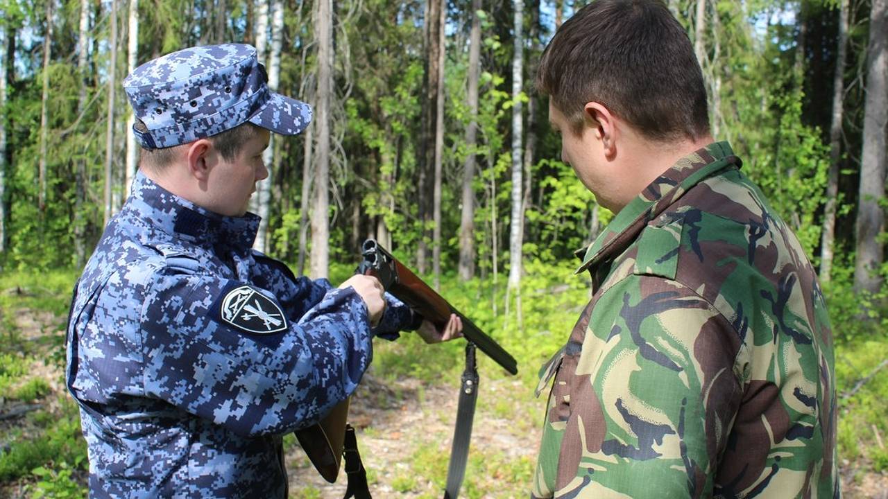 Главная картинка новости: У охотников в Коми росгвардейцы изъяли ружья
