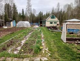 Названа самая частая ошибка, которую допускают дачники после дождя