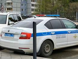 Правоохранители Коми лишили десять человек российского гражданства