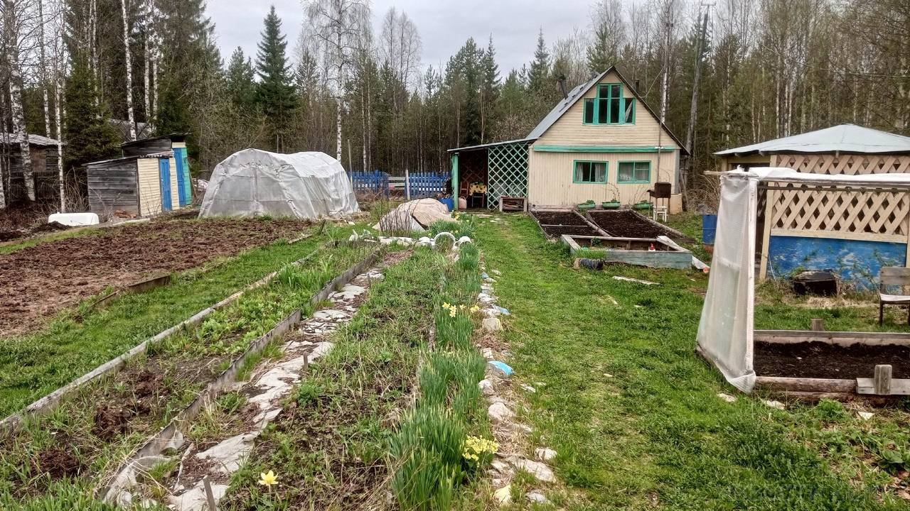 Главная картинка новости: Названа самая частая ошибка, которую допускают дачники после дождя