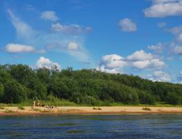 В Коми начали поступать пациенты с симптомами теплового удара