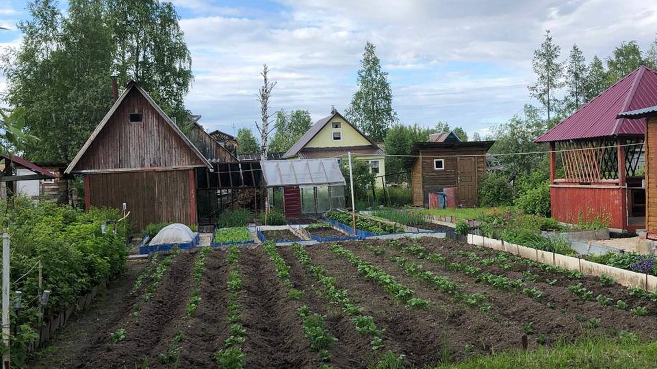 Главная картинка новости: Это самая вредная ягода: а мы едим ее покупаем как деликатес, еще и детей угощаем