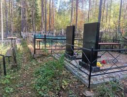 В Коми часть лестных земель хотят отдать под кладбища