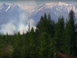 В Коми остается один действующий на территории региона пожар