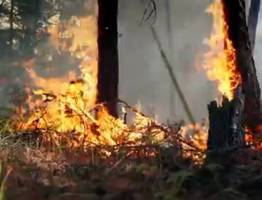 Сотрудники пожарной охраны Коми тушат лесные пожары в Якутии
