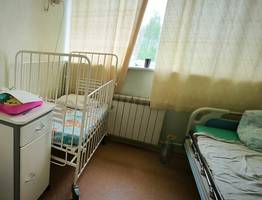 В Коми опасные клещи покусали полтысячи детей