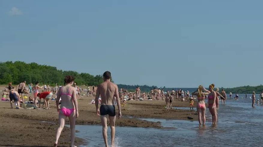 Главная картинка новости: «Купаться просто невозможно, все сидят на берегу»: Черное море преподнесло отдыхающим неприятный сюрприз