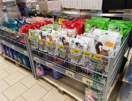 "Не травите этим кошек": в Роскачестве назвали худшие марки корма для питомцев