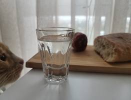 Ученые назвали самый полезный алкоголь. Защищает сердце и содержит фосфор, железо, кальций и калий