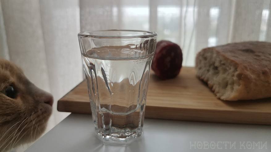 Главная картинка новости: Врач назвал самый опасный для печени крепкий алкогольный напиток. И это не водка