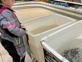 Названа самая полезная для человека рыба - ешьте дважды в неделю, богата селеном, фосфором и хороша на вкус