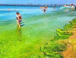 «Ничего не помогает!»: туристы в Геленджике и Анапе поголовно жалуются на новую напасть. Отдых испорчен