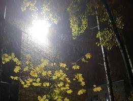 В Коми предприятия предупредили о неблагоприятных погодных условиях