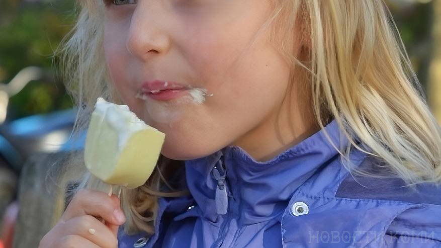 Главная картинка новости: Кишечная палочка, плесень и "пальма": В Роскачестве назвали мороженое, которое ни в коем случае нельзя покупать