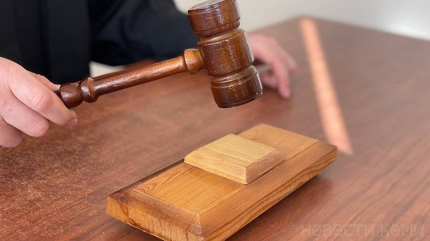 Главная картинка новости: В Коми жителя Узбекистана оштрафовали и депортировали из России